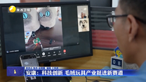 安康：科技創(chuàng)新 毛絨玩具產(chǎn)業(yè)挺進(jìn)新賽道