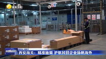 【促进民营经济高质量发展】西安海关：精准施策 护航民营企业扬帆海外