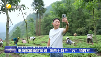 电商赋能商贸流通  陕西土特产“云”销四方