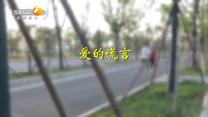 百家碎戏(2025-06-29)