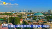 安康紫阳：从秦巴山区到海外市场 一把修脚刀“修”出富民路