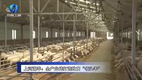 农村大市场 (2025-07-06)