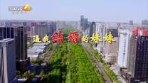 百家碎戏 (2025-07-07)