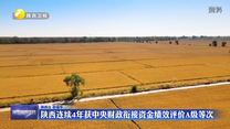 陕西连续4年获中央财政衔接资金绩效评价A级等次