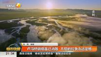 都市快报 (2025-07-07)