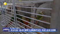 西安多部门联动开展野生动物保护宣传 共筑生态安全屏障