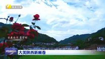 【大美陕西新画卷】夏日盛景 缤纷如画
