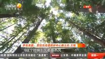 都市热线 (2025-07-07)