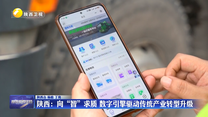 【在习近平新时代中国特色社会主义思想指引下】陕西：向“智”求质  数字引擎驱动传统产业转型升级
