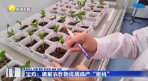 【活力中国调研行·万千气象看陕西】宝鸡：破解农作物优质高产“密码” 铜川：磷化铟成为多领域技术突破的基石