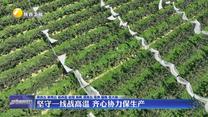 坚守一线战高温 齐心协力保生产