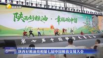陕西好粮油亮相第七届中国粮食交易大会