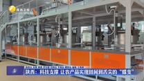 【在习近平新时代中国特色社会主义思想指引下】陕西：科技支撑 让农产品实现田间到舌尖的“蝶变”