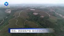 農(nóng)村大市場(chǎng) (2025-07-15)