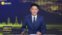 張書彥：用陜西建造推動(dòng)共建“一帶一路”合作共贏