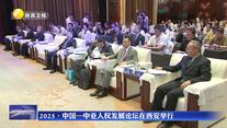 2025·中国—中亚人权发展论坛在西安举行