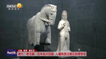 唐代“拳毛騧”百年拓片回國 入藏陜西漢唐石刻博物館