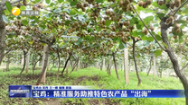 【深化拓展“三個(gè)年”活動 聚焦聚力打好“八場硬仗”】寶雞：精準(zhǔn)服務(wù)助推特色農(nóng)產(chǎn)品“出海”