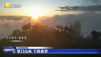 【大美陜西新畫卷】夏日山林 千峰疊翠