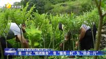 【記者觀察】第一書記“組團(tuán)服務(wù)” 變“服務(wù)一村”為“帶動(dòng)一片”