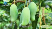 中國(guó)農(nóng)資秀 (2025-07-22)