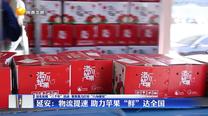 【深化拓展“三個(gè)年”活動(dòng) 聚焦聚力打好“八場(chǎng)硬仗”】延安：物流提速 助力蘋果“鮮”達(dá)全國(guó)