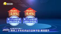 陜西上半年經(jīng)濟(jì)運(yùn)行總體平穩(wěn) 質(zhì)效提升