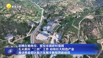 趙剛在榆林市、延安市調(diào)研時(shí)強(qiáng)調(diào) 扎實(shí)抓好“三農(nóng)”工作 持續(xù)壯大特色產(chǎn)業(yè) 推動(dòng)革命老區(qū)振興發(fā)展不斷取得新成效