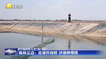 榆林定邊：鹽湖養(yǎng)海鮮 沙地種櫻桃