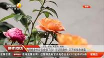 都市熱線 (2025-07-25)