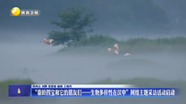 “秦嶺四寶和它的朋友們——生物多樣性在漢中”網(wǎng)絡(luò)主題采訪活動(dòng)啟動(dòng)