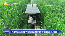 西北農(nóng)林科技大學(xué)研發(fā)的光伏智能噴灌機(jī)投用