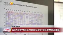 晚間新聞?wù)?(2025-07-26)