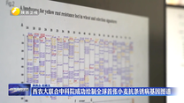 西農(nóng)大聯(lián)合中科院成功繪制全球首張小麥抗條銹病基因圖譜