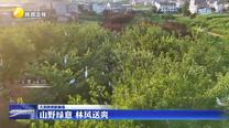 【大美陜西新畫卷】山野綠意 林風(fēng)送爽