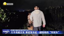 【記者走基層】天不亮就出發(fā) 跟老菜農(nóng)趕一趟特殊的“早班車”