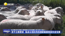 搭平臺(tái)聚要素 楊凌示范區(qū)科技創(chuàng)新賦能農(nóng)業(yè)發(fā)展