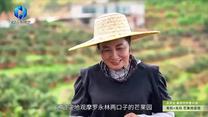 中國農資秀 (2025-07-29)