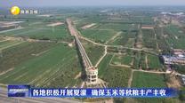 各地積極開展夏灌 確保玉米等秋糧豐產(chǎn)豐收