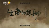 國(guó)風(fēng)秦韻精編版(2025-08-03)
