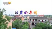 百家碎戏(2025-08-08)