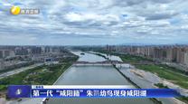 【三秦纵览】第一代“咸阳籍”朱鹮幼鸟现身咸阳湖