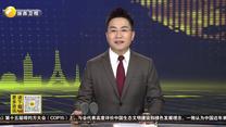马达加斯加学子杨坤莫的“水土保卫战”