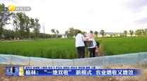 榆林：“一地双收” 新模式 农业增收又增效