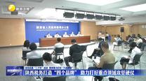 【深化拓展“三个年”活动 聚焦聚力打好“八场硬仗”】陕西税务打造“四个品牌” 助力打好重点领域攻坚硬仗