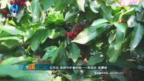 中国农资秀 (2025-08-09)