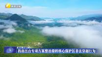 我省出台专项方案整治秦岭核心保护区非法穿越行为