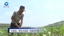农村大市场 (2025-08-11)