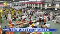 陕西三村入选推进乡村全面振兴典型案例