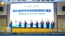 感受“一见钟秦”魅力 19国驻华外交官来陕调研